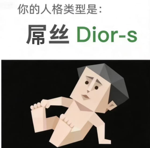 Dior-s 雕丝